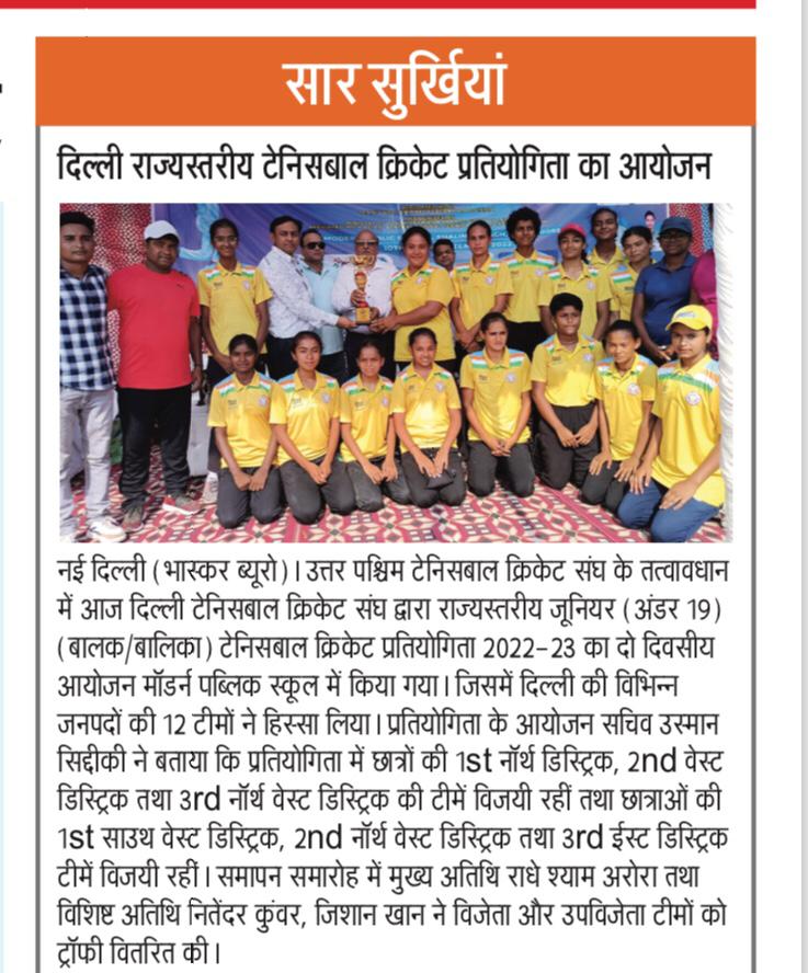 Delhi Tennis Ball Cricket Association